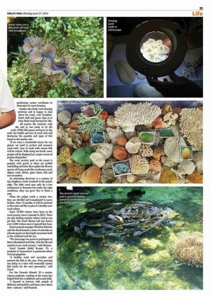 Rebuilding Andaman Reef One Polyp at a Time