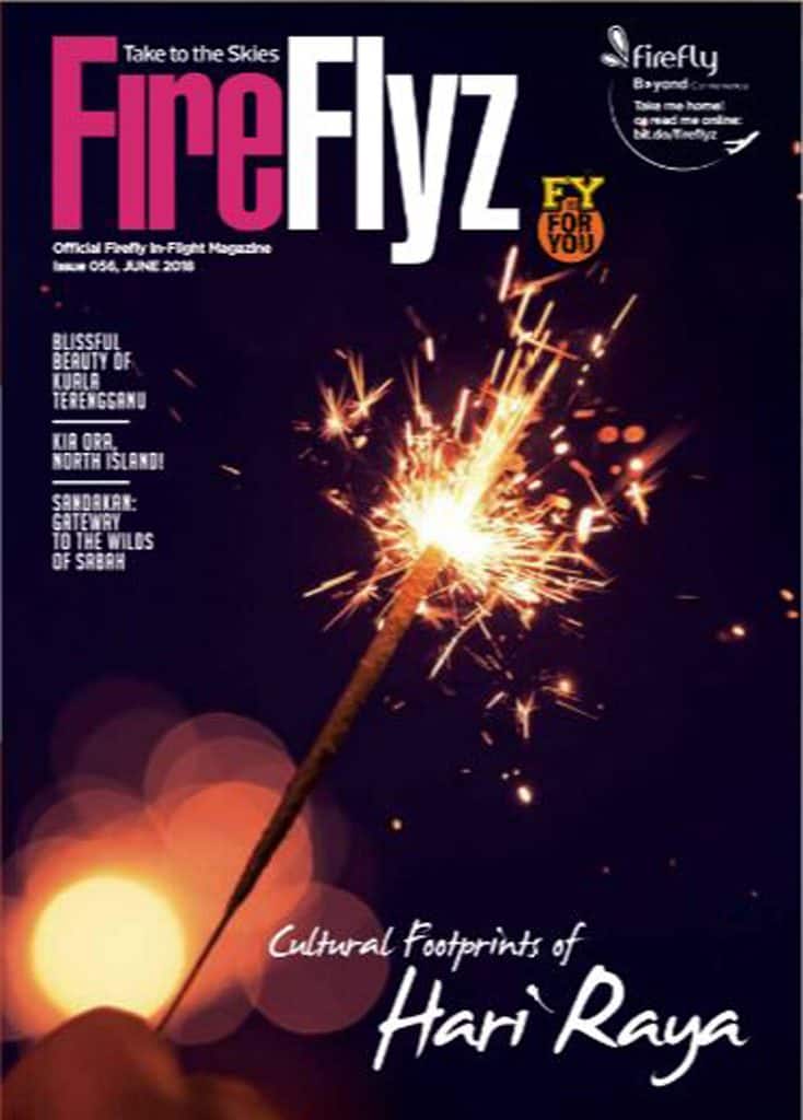 FireFlyz June 2018