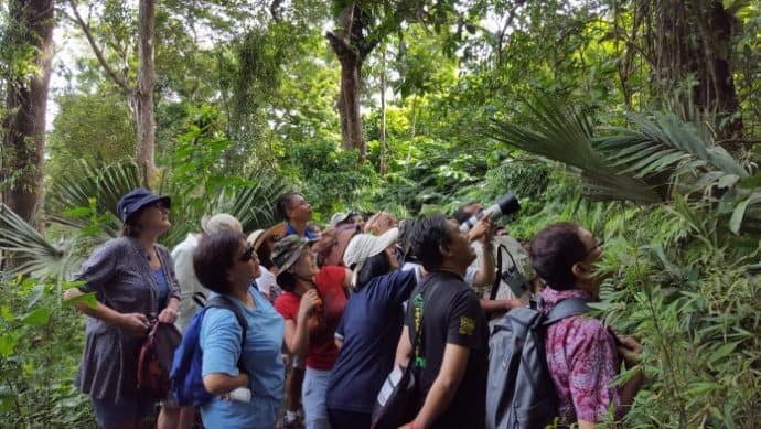 Fascinating nature of Penang Hill