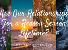 Are Our Relationships For a Reason, Season, Lifetime?