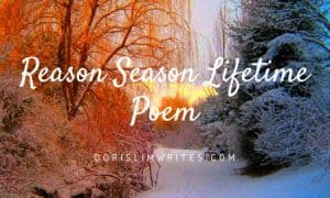 Are Our Relationships For a Reason Season Lifetime? – Doris Lim Writes